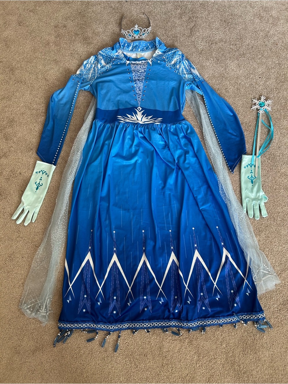 Elsa Costume Dress with Accessories